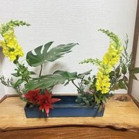 ブログ画像