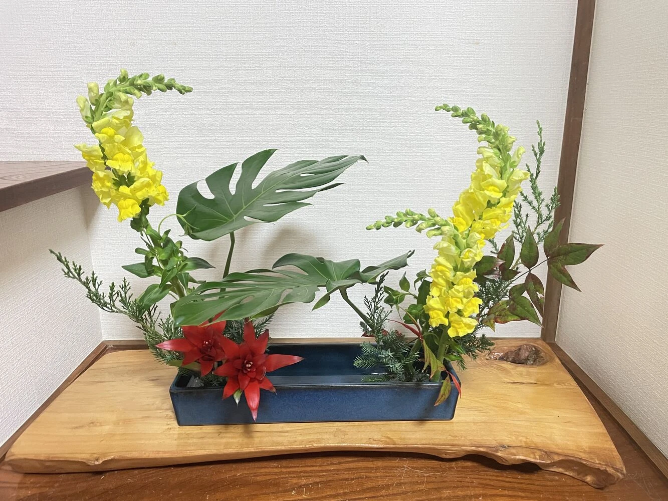 ブログ画像