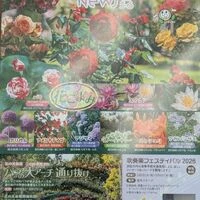 ブログ画像